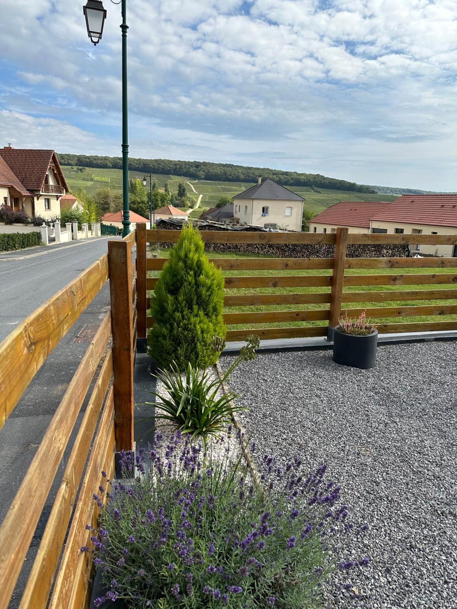 Chez Celia, Roulotte En Champagne Vila Fleury-la-Riviere Exterior foto